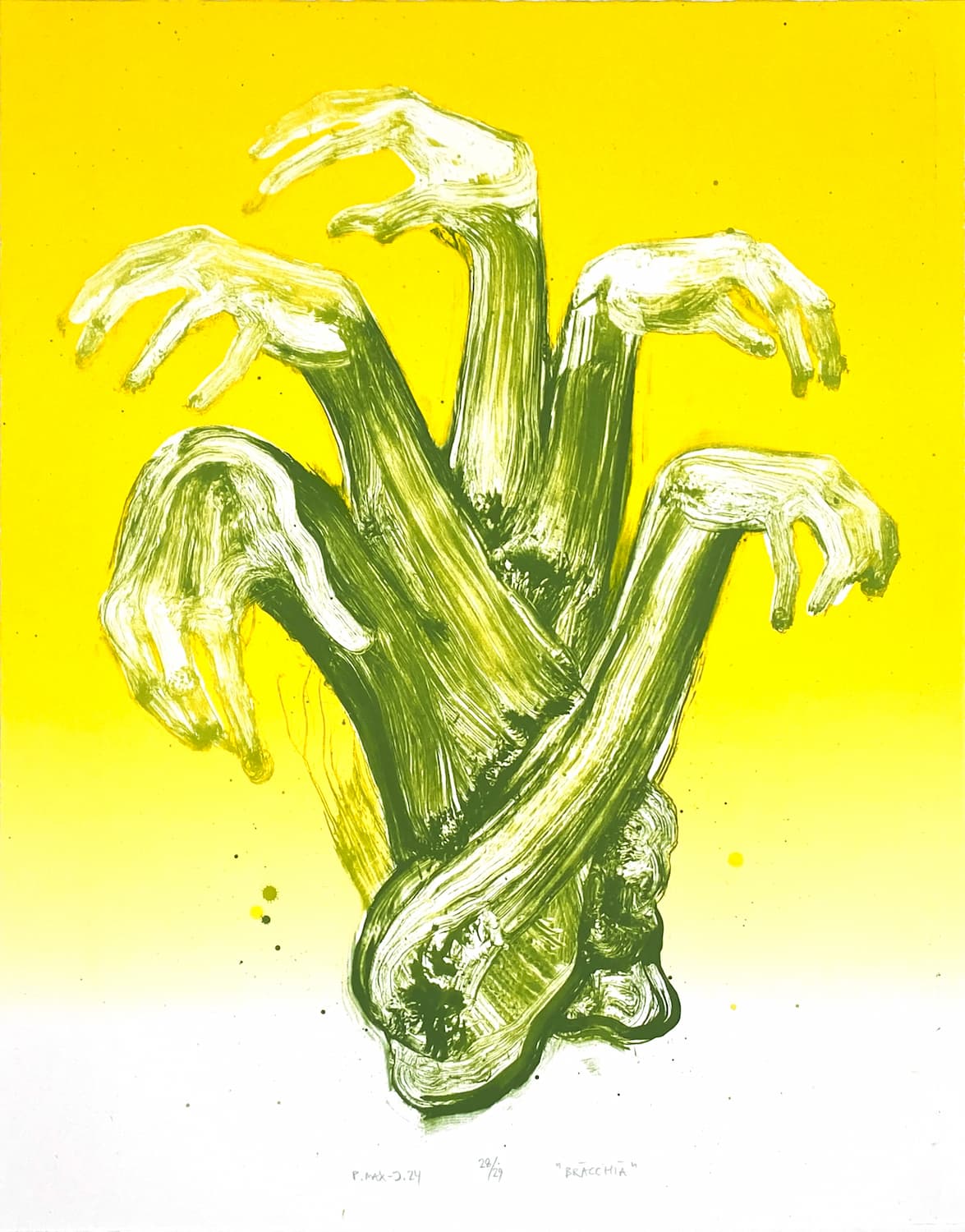 Peter Max-Jakobsen - "Bracchia"