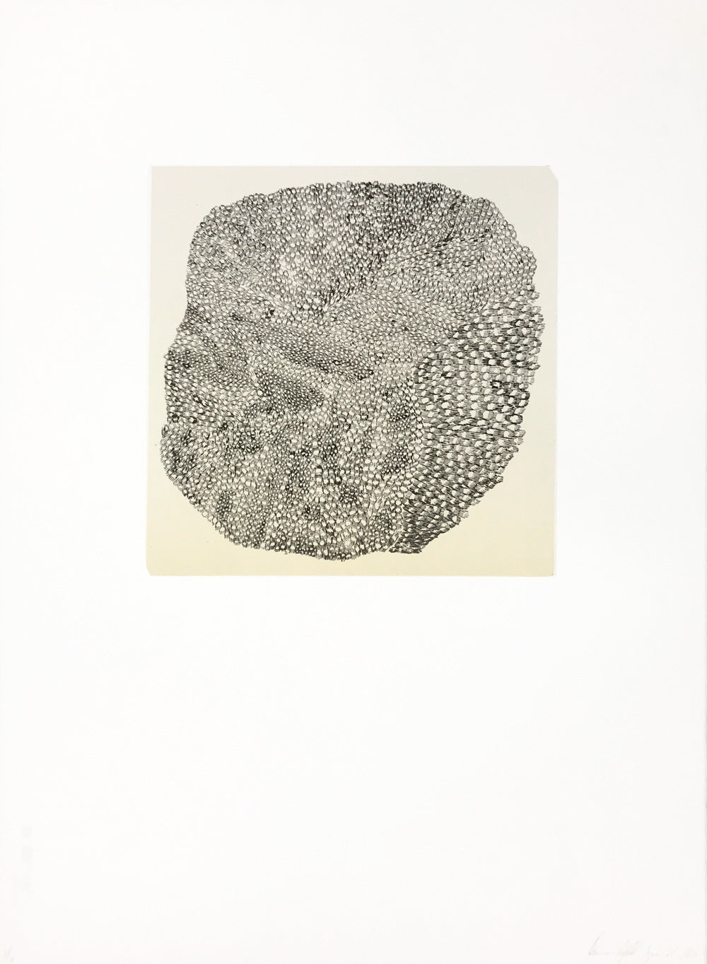 Johanne Sigvardsen - "Untitled"