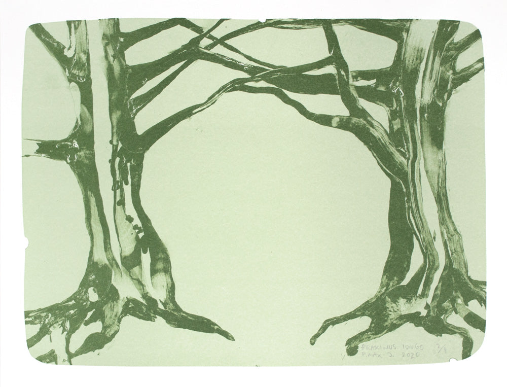 Peter Max-Jakobsen - "Fraxinus Iungo"