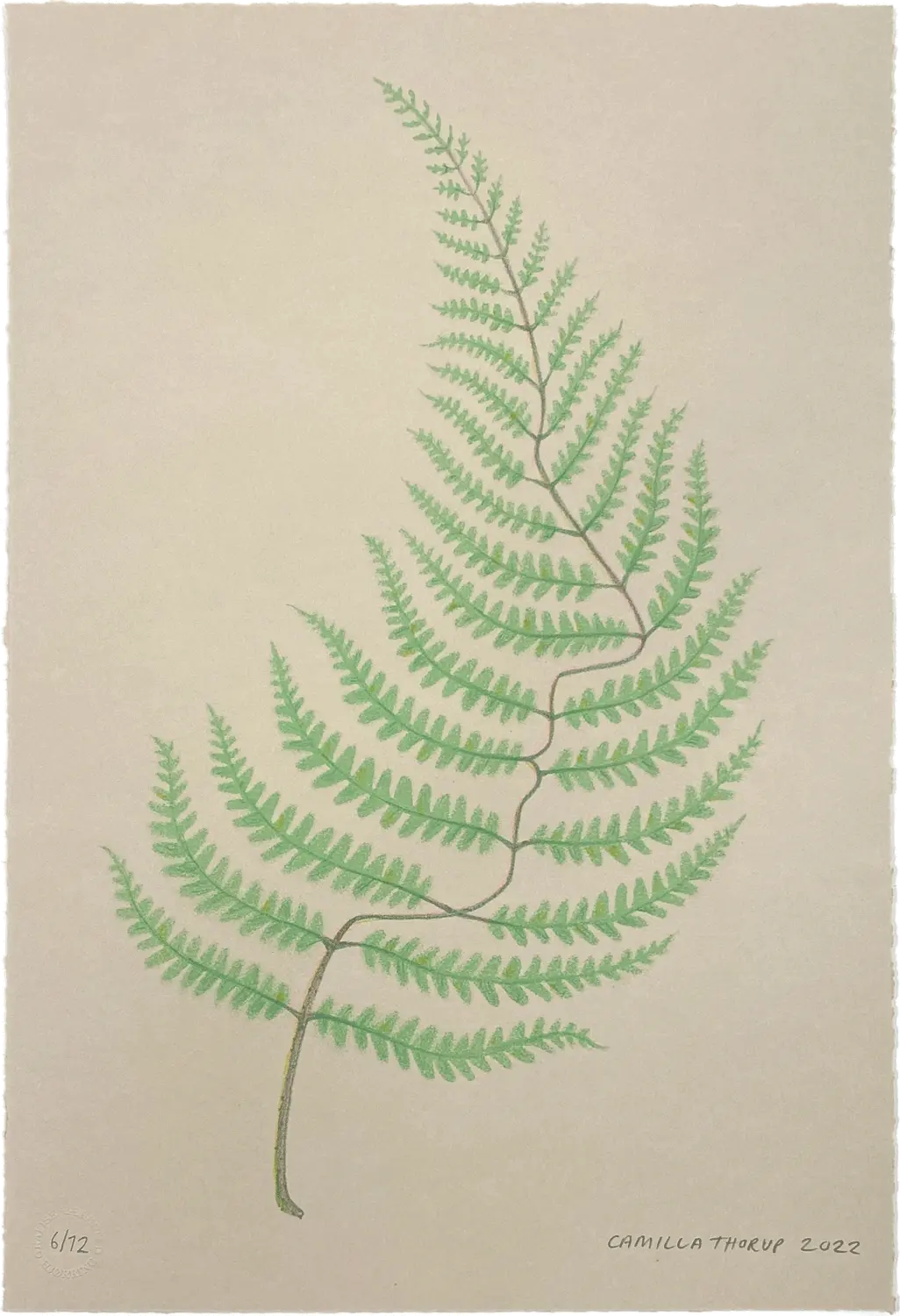 Camilla Thorup - "Fern Face"