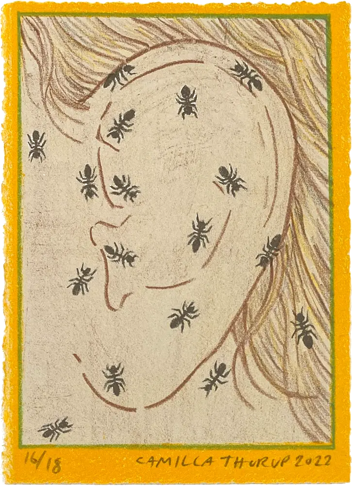 Camilla Thorup - "Ants on ears"