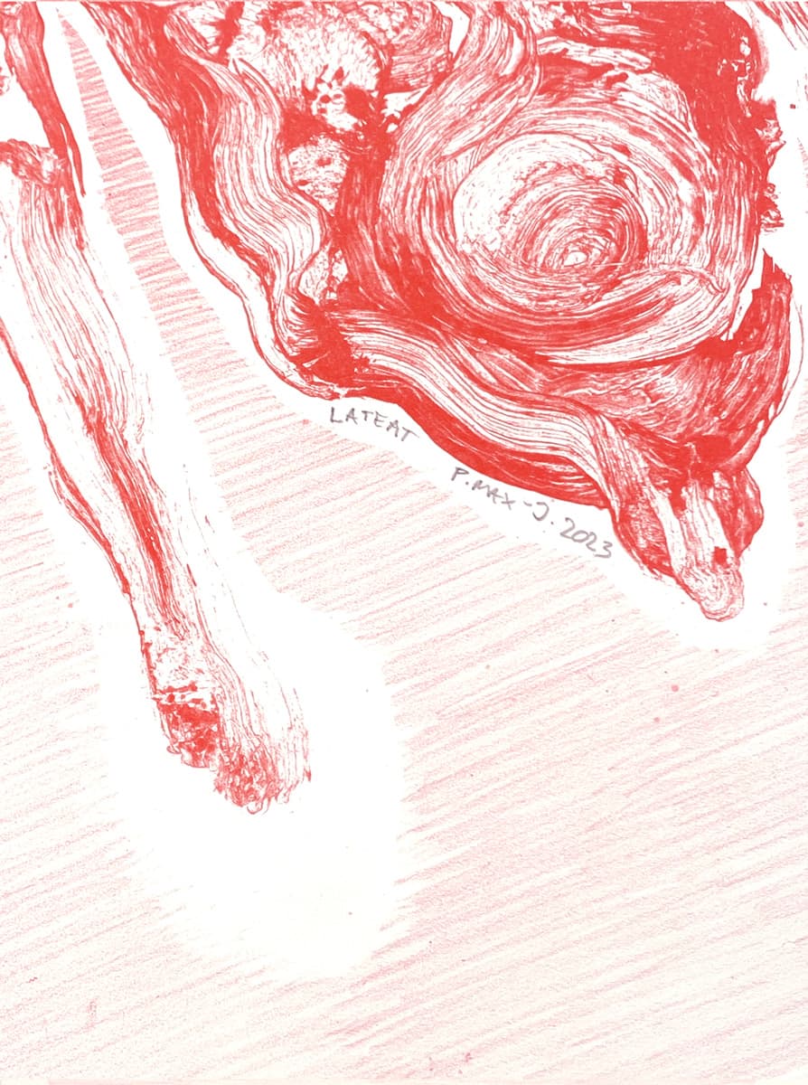 Peter Max-Jakobsen - "Lateat"