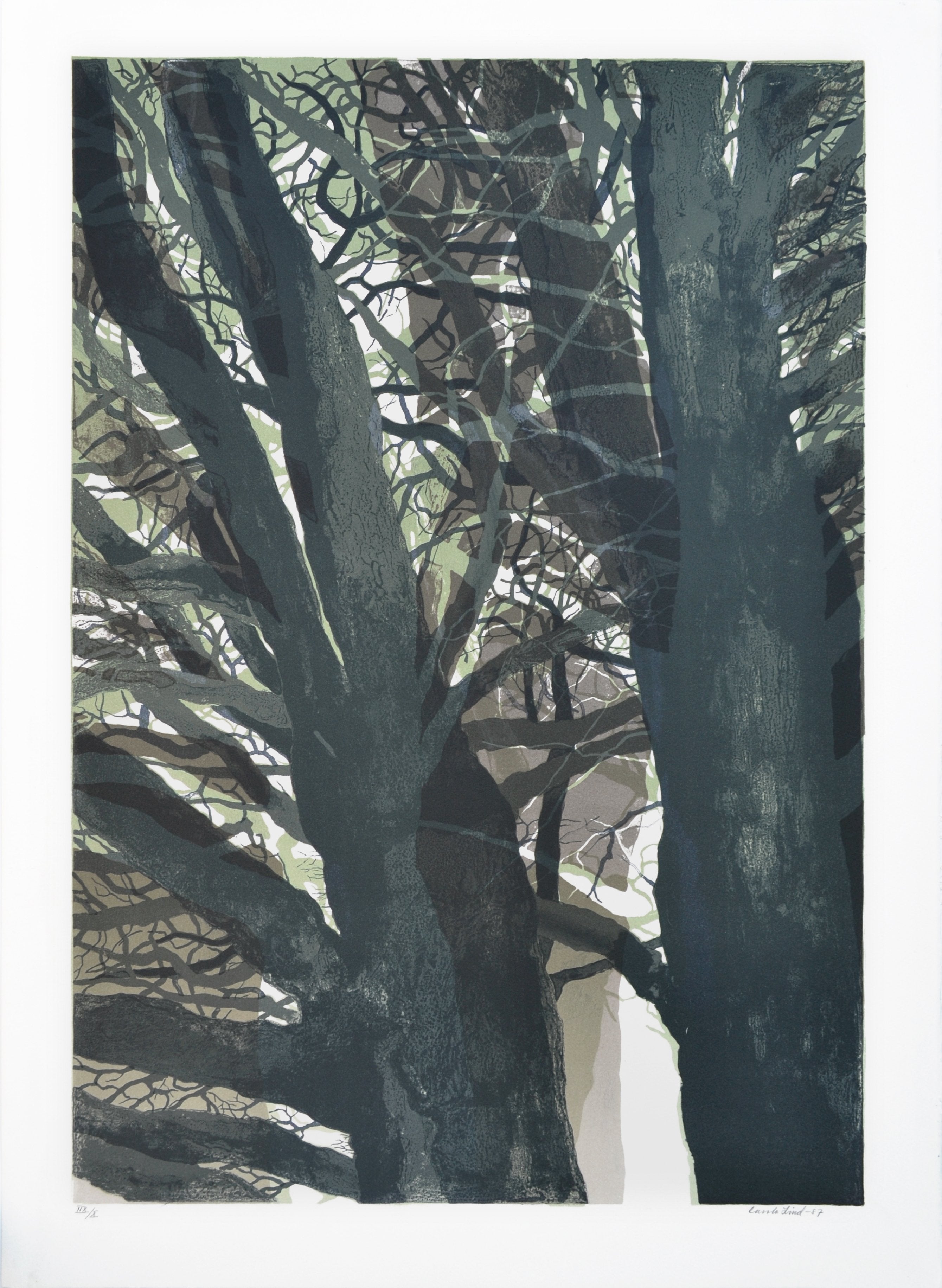 Carola Lind - "Untitled"