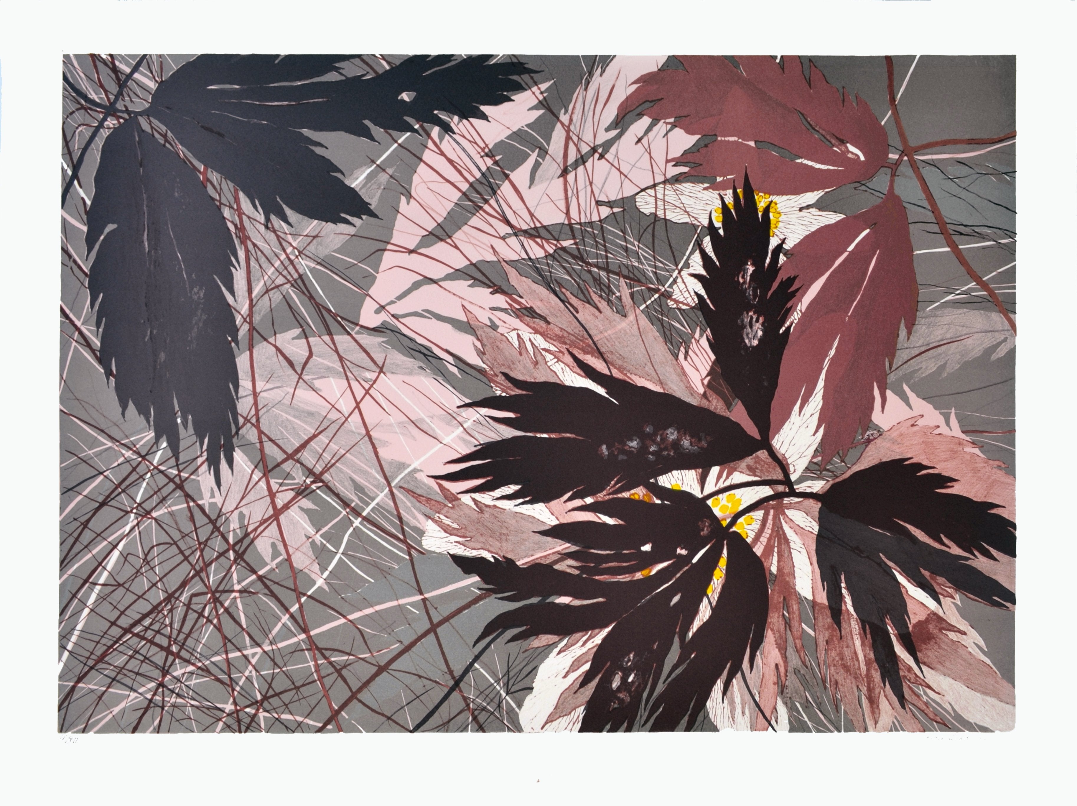 Carola Lind - "Vil se på"