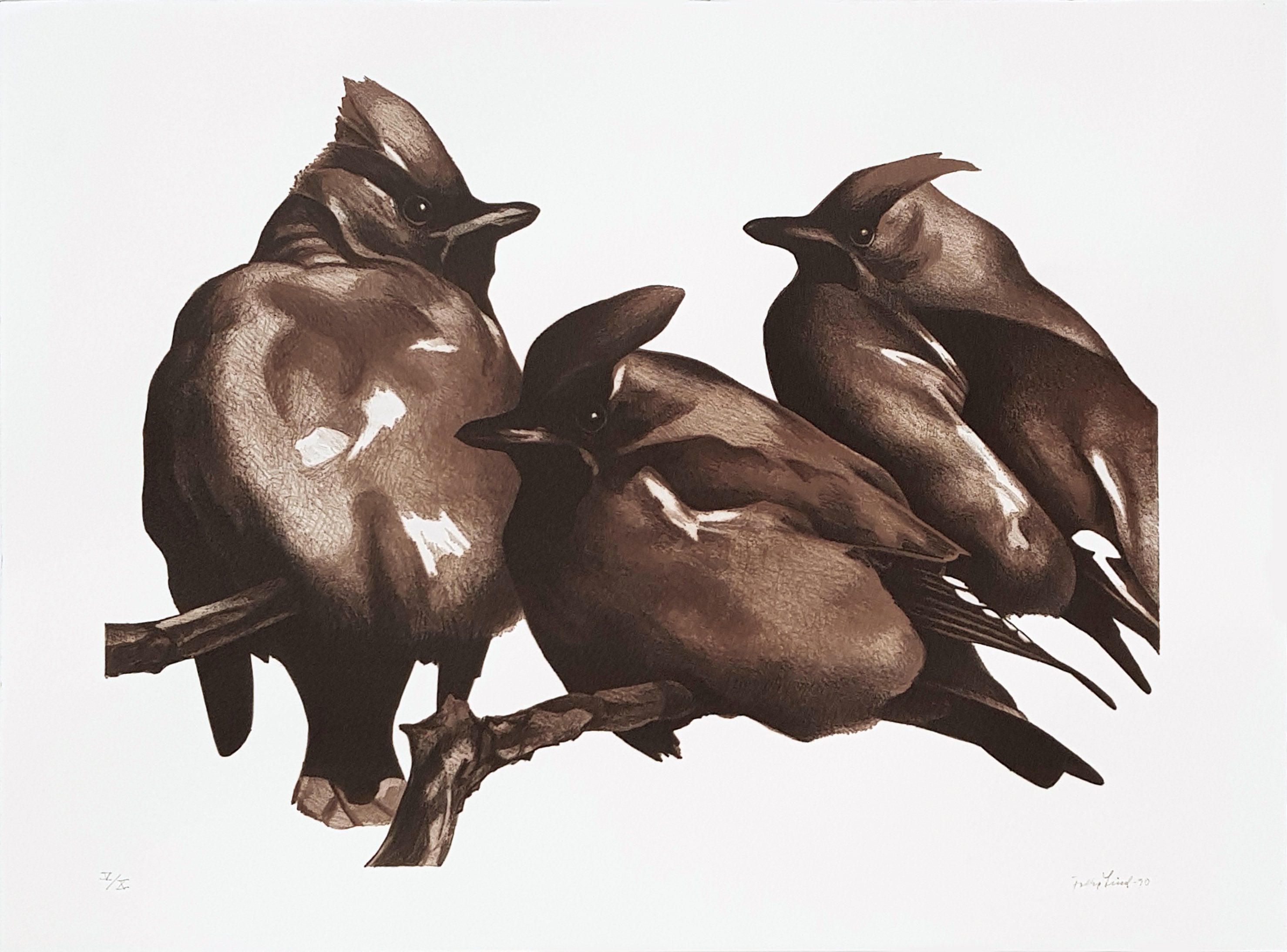 Folke Lind - "Silkehaler"