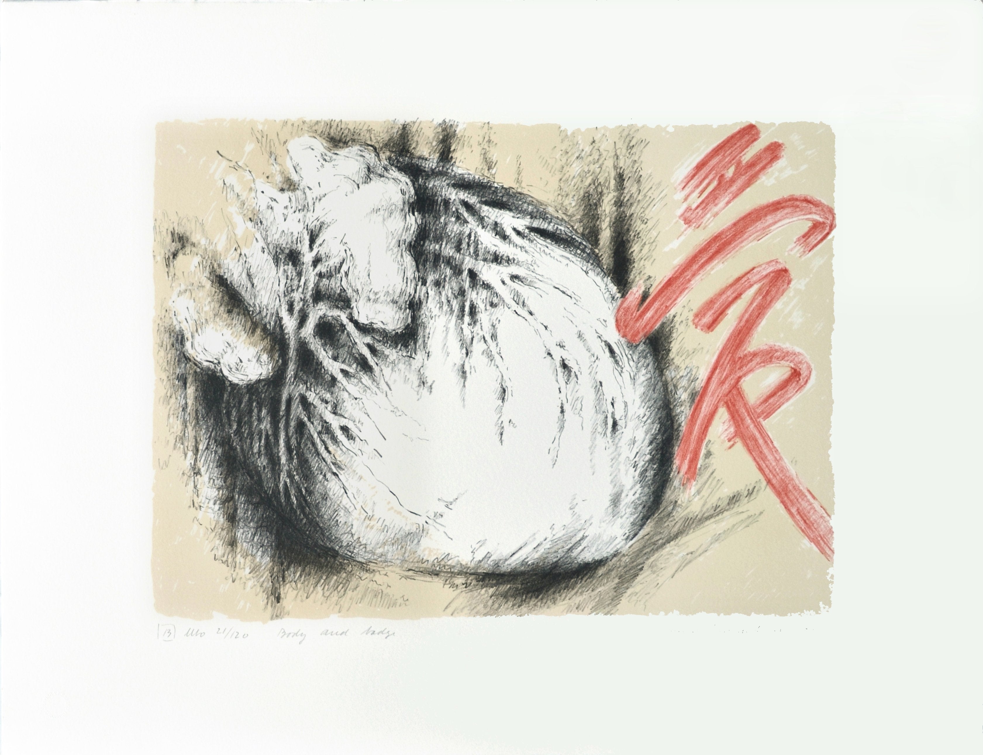 Vibeke Mencke Nielsen - "Body and badge"