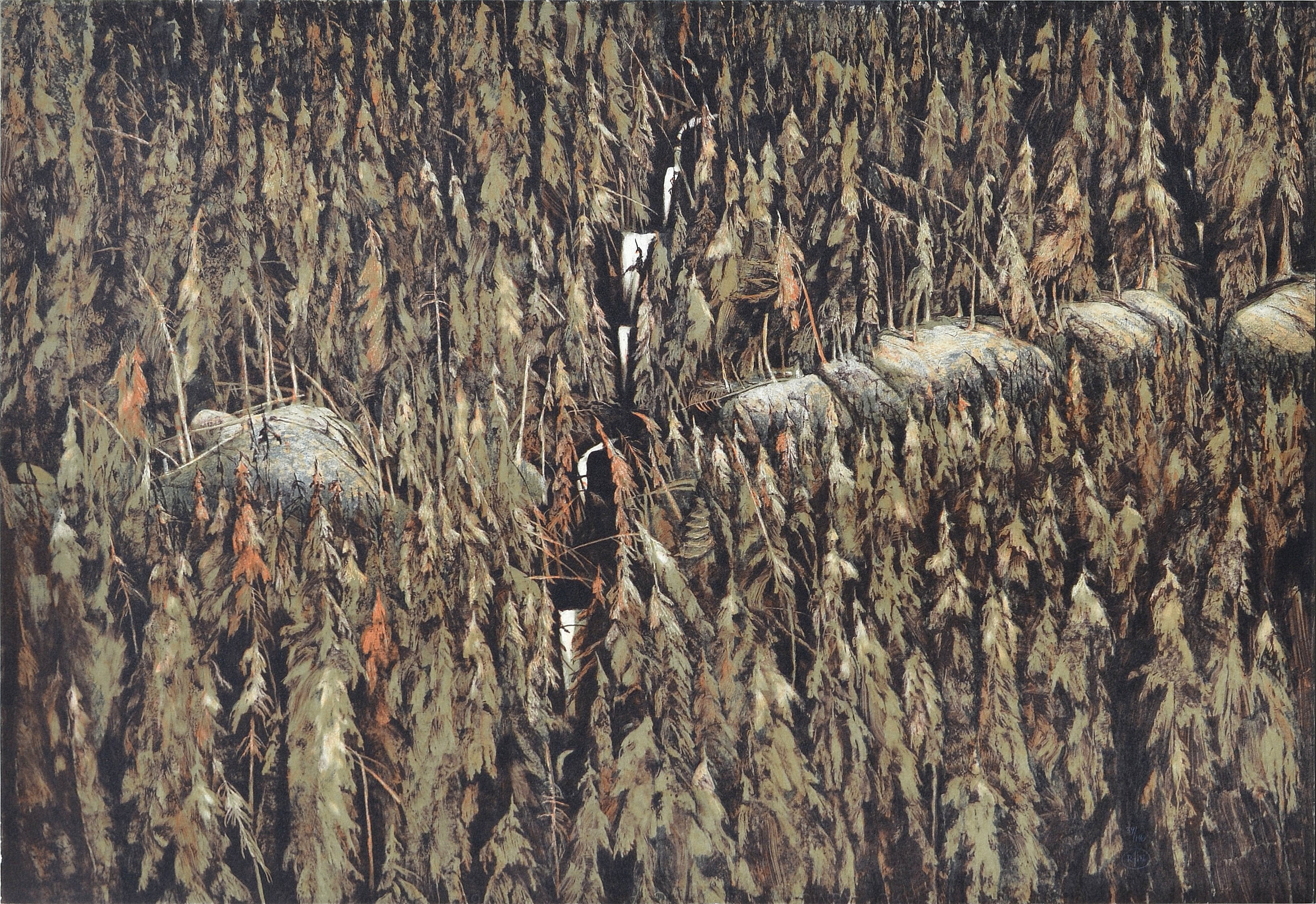 Roj Friberg - "Untitled"