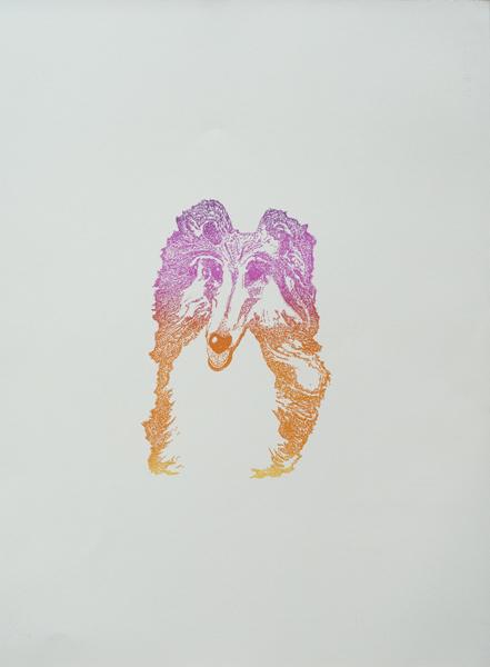 Christian Finne - "Border collie"